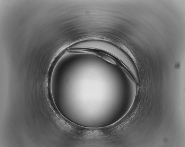 X0000096191133200801251234