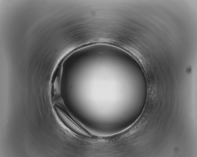 X0000096191135200801251234