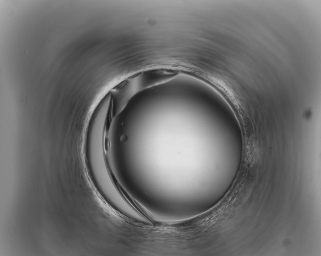 X0000096191136200801251234