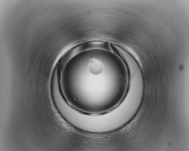 X0000096191138200801251234
