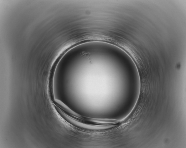 X0000096191139200801251234