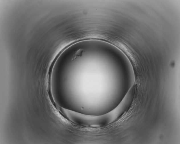 X0000096191140200801251234