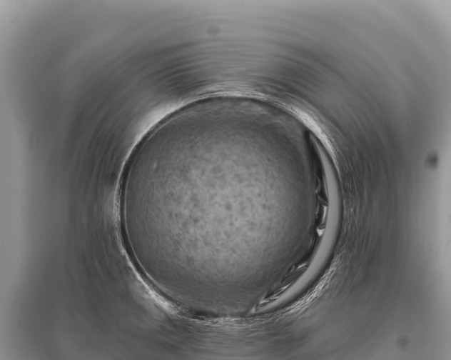 X0000096191141200801251234