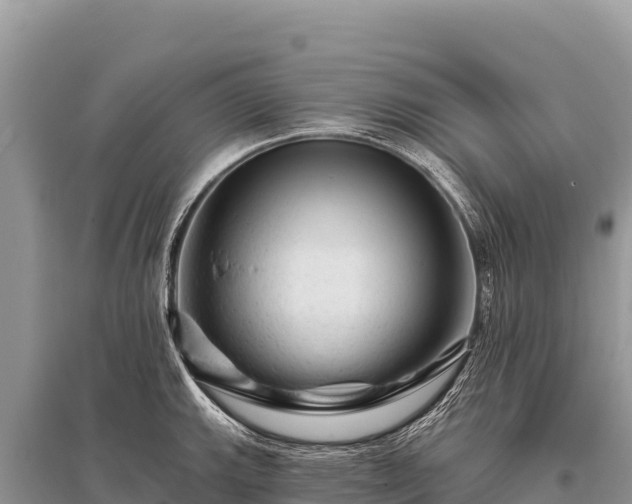 X0000096191143200801251234