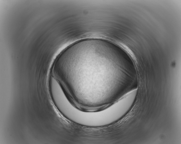 X0000096191144200801251234