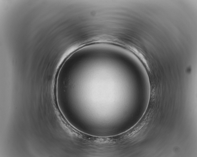 X0000096191146200801251234