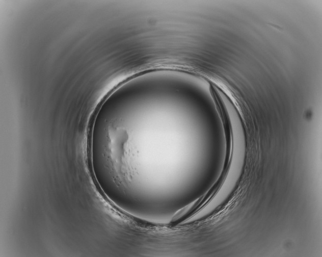X0000096191147200801251234