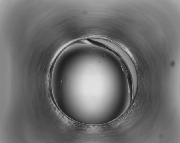 X0000096191148200801251234