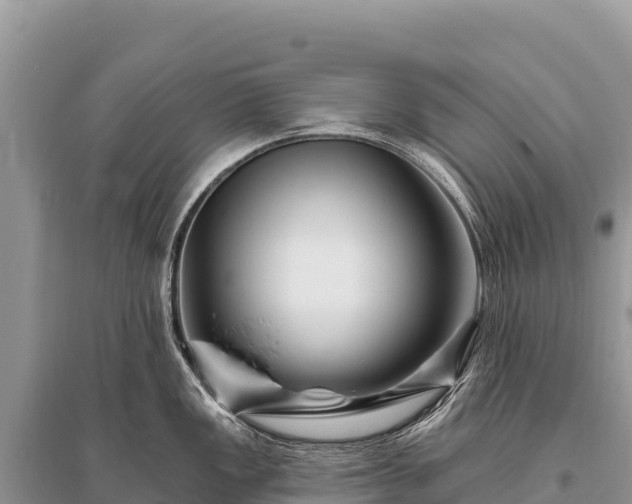 X0000096191149200801251234