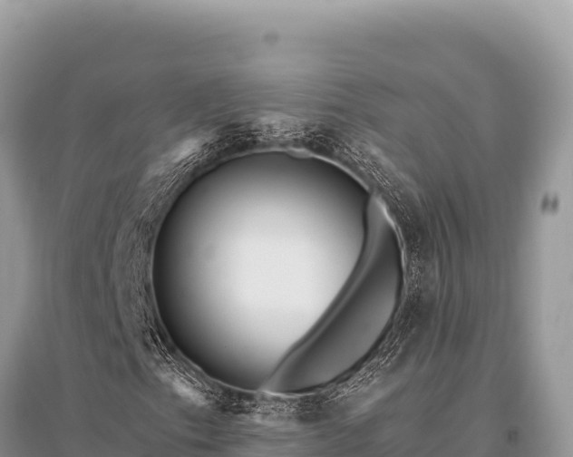 X0000096191153200801251233