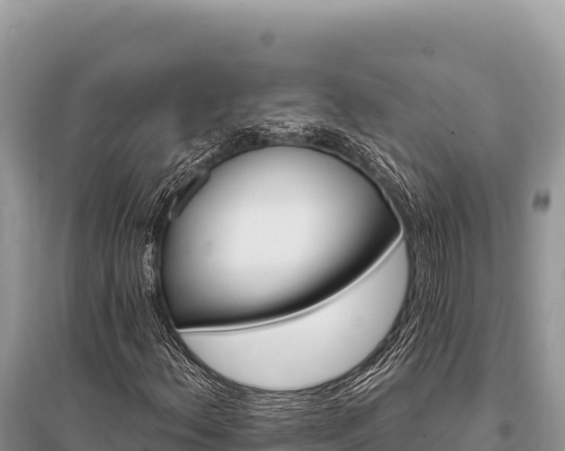 X0000096191156200801251233