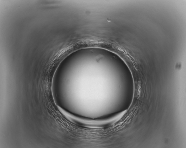 X0000096191157200801251233