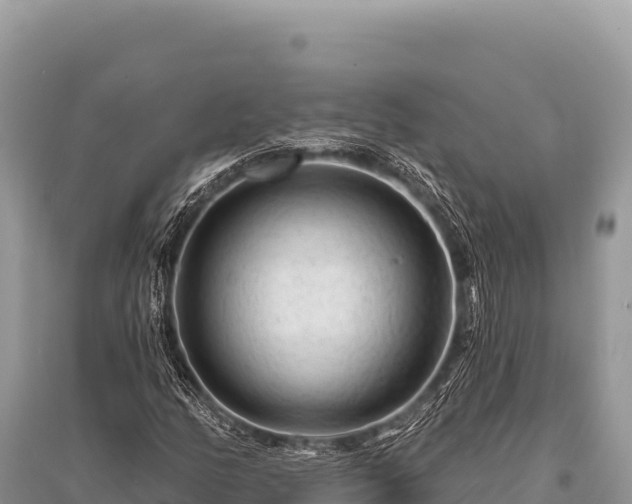 X0000096191158200801251233