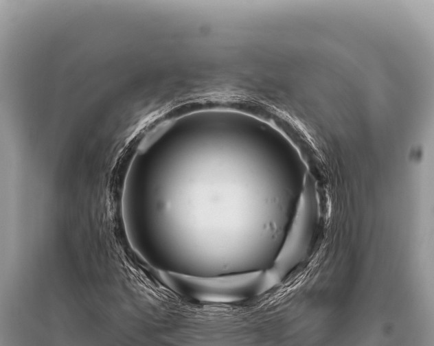 X0000096191160200801251233