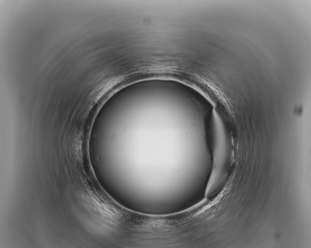 X0000096191162200801251233