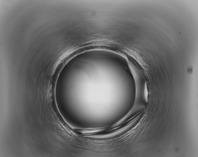 X0000096191164200801251233