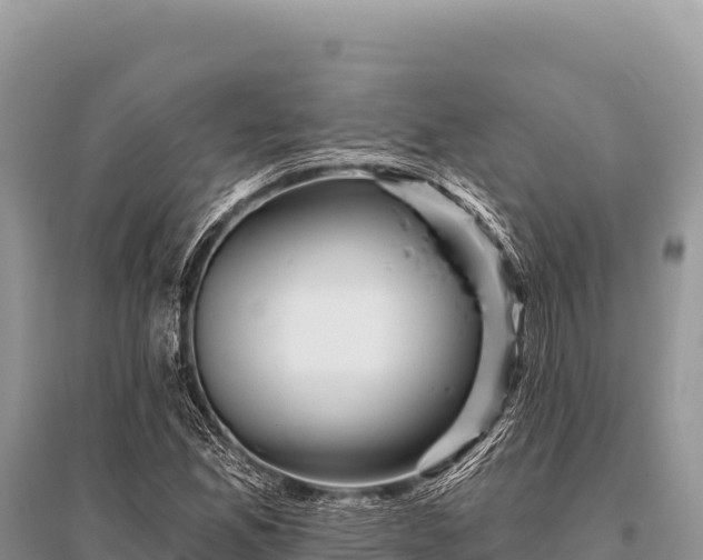 X0000096191165200801251233