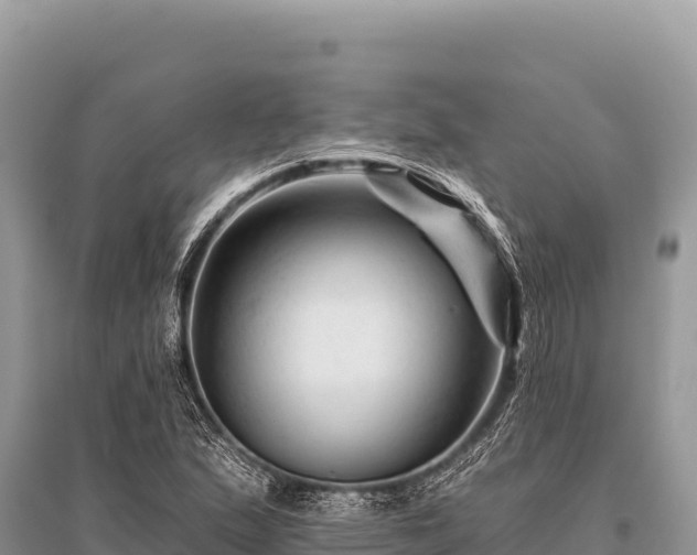 X0000096191167200801251233