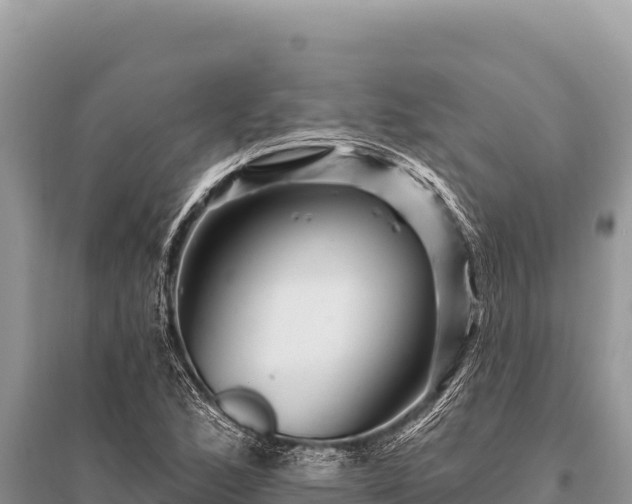 X0000096191168200801251233