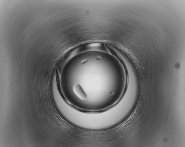 X0000096191169200801251233