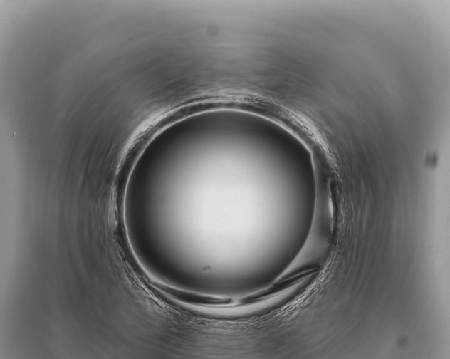 X0000096191172200801251233