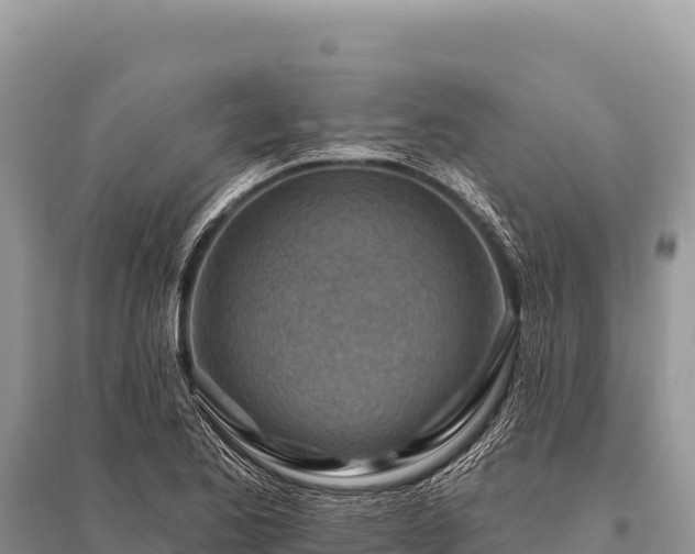 X0000096191173200801251233