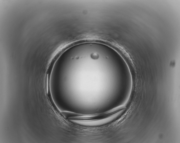 X0000096191175200801251233