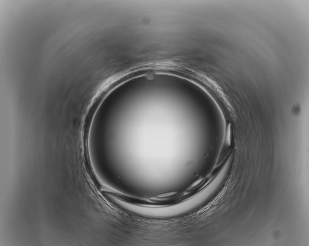 X0000096191176200801251233