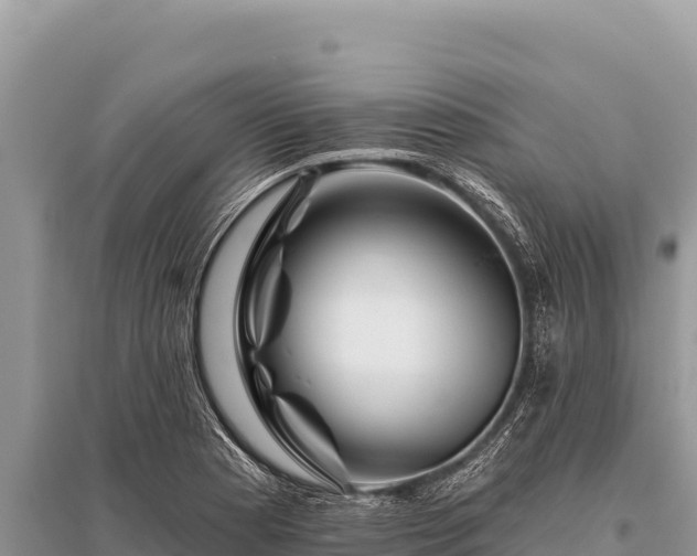 X0000096191177200801251233