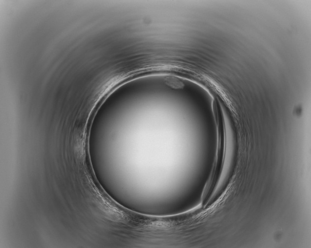 X0000096191178200801251233