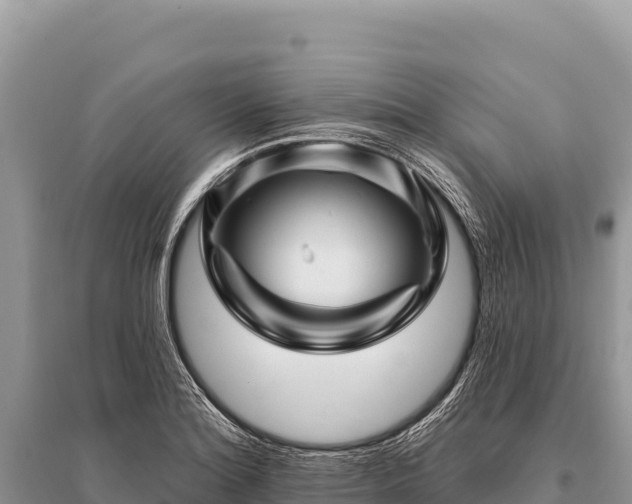 X0000096191180200801251233