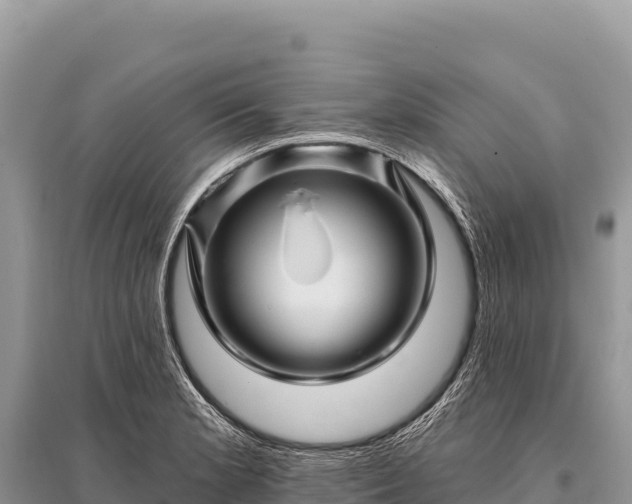 X0000096191181200801251233