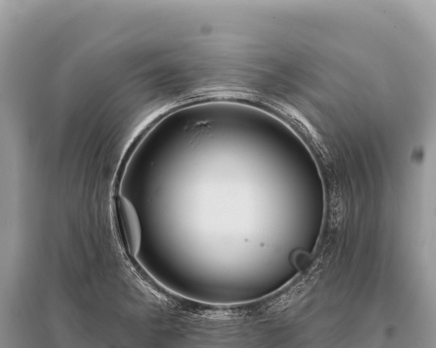 X0000096191182200801251233