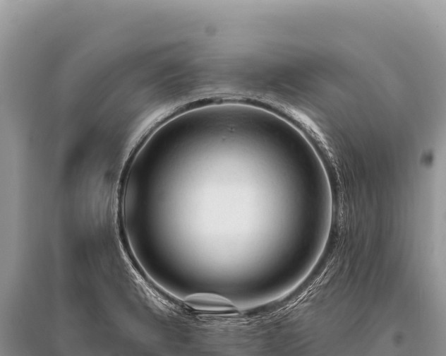 X0000096191183200801251233
