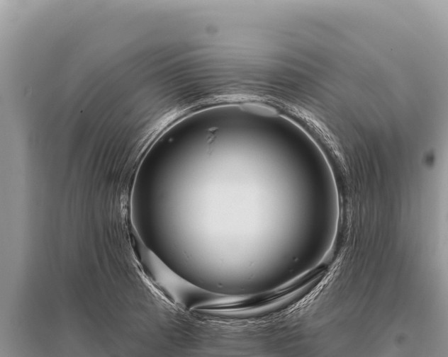 X0000096191185200801251233