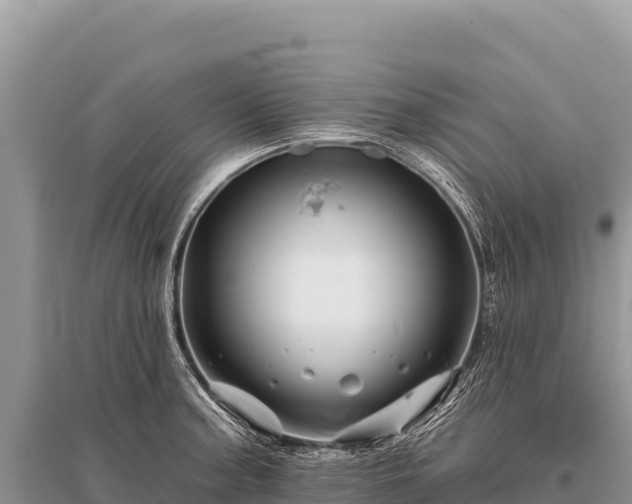 X0000096191187200801251233