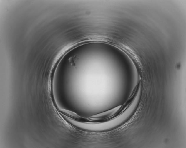 X0000096191188200801251232