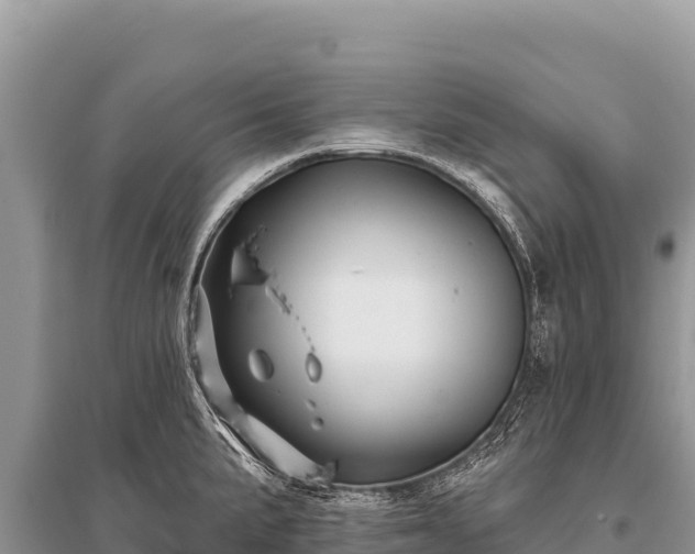 X0000096191191200801251232