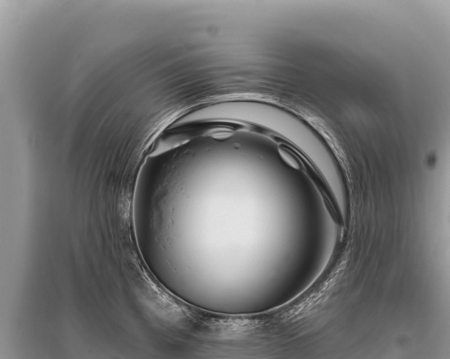 X0000096191193200801251232