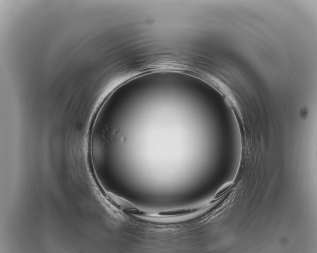 X0000096191195200801251232