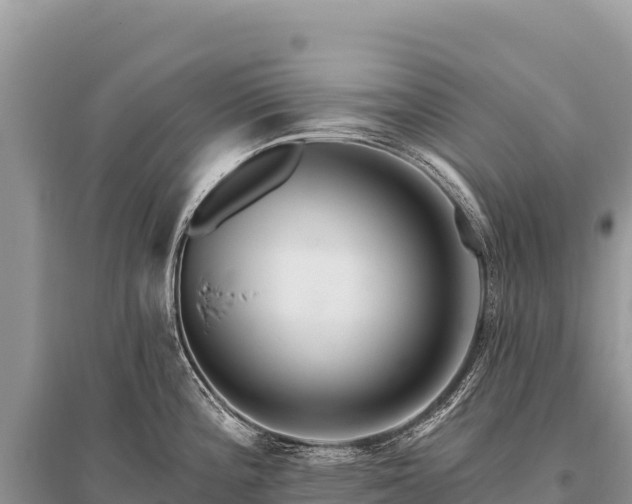 X0000096191196200801251232