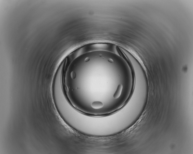 X0000096191197200801251232