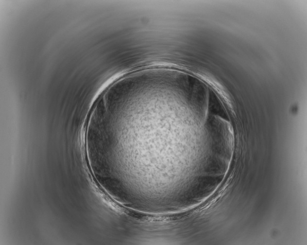 X0000096191198200801251232
