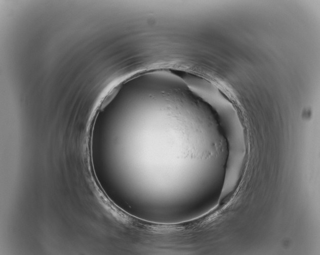 X0000096191200200801251232