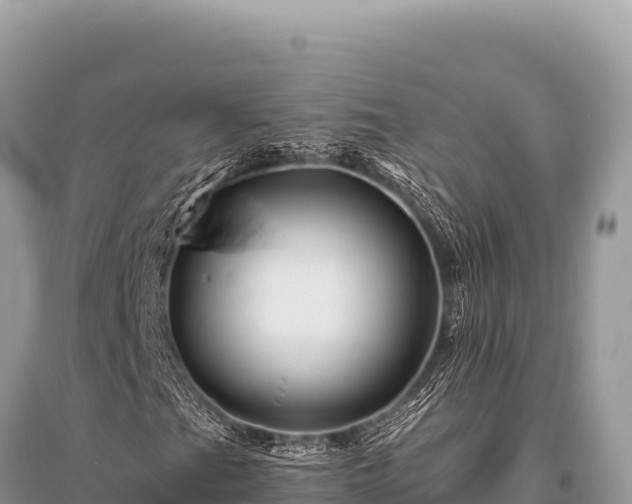 X0000096191201200801251231