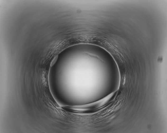 X0000096191202200801251232