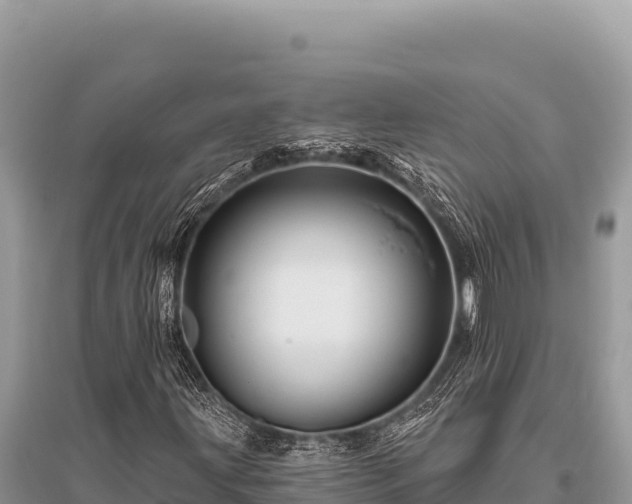 X0000096191203200801251232
