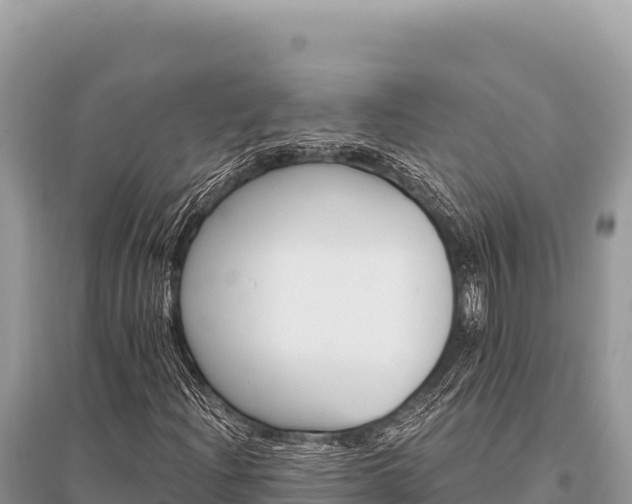 X0000096191204200801251232