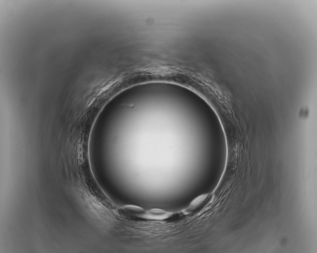 X0000096191205200801251232