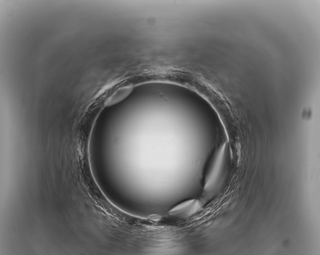 X0000096191206200801251232